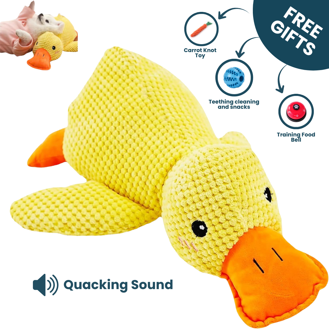 Calming Duck Dog Toy