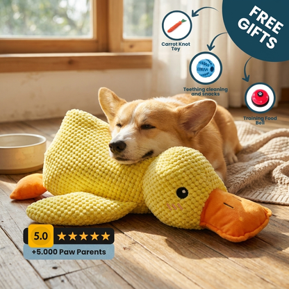 Happy dog cuddling HushPaw Calming Duck Toy lifestyle photo